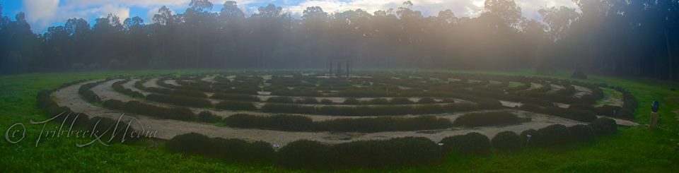 misty labyrinth